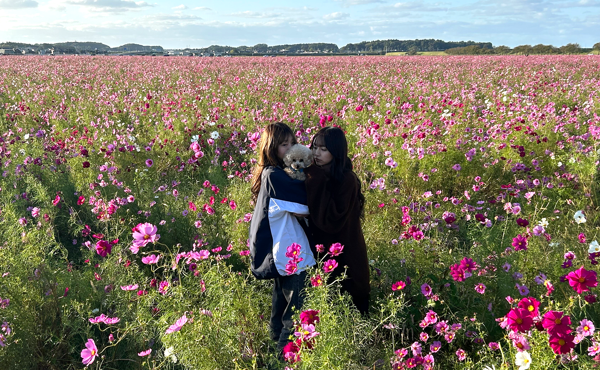 福井のホームぺージ制作　MIクリエイト｜